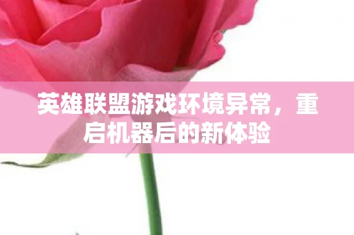 英雄联盟游戏环境异常图片