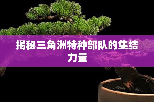 揭秘三角洲特种部队的集结力量图片