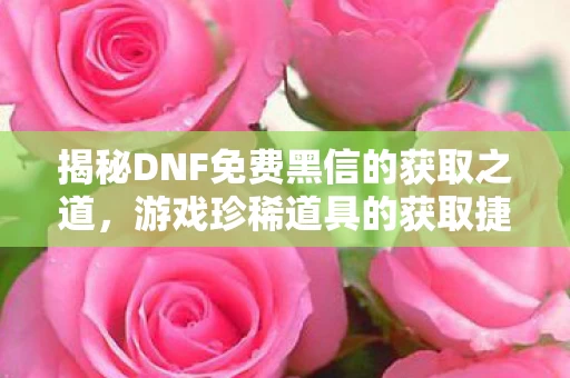 揭秘DNF免费黑信的获取之道图片