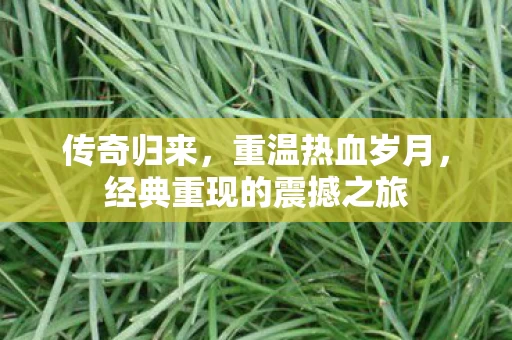 经典重现的震撼之旅图片