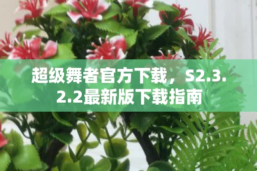 超级舞者官方下载图片