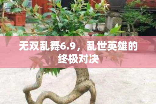 乱世英雄的终极对决图片