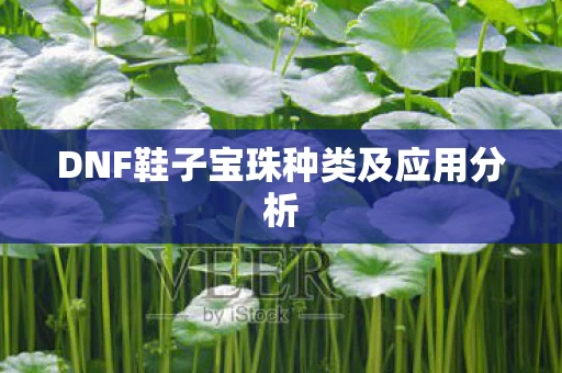 DNF鞋子宝珠种类及应用分析图片