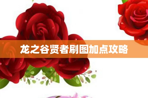 龙之谷贤者刷图加点攻略图片
