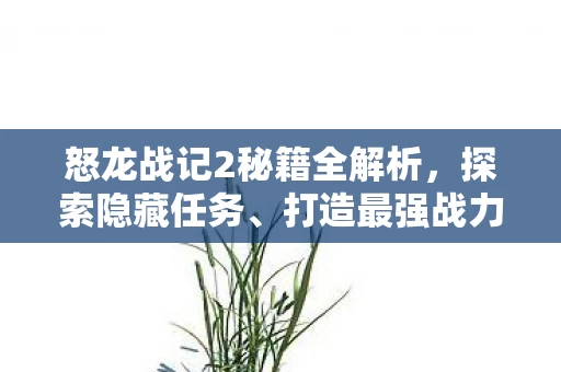 怒龙战记2秘籍全解析图片