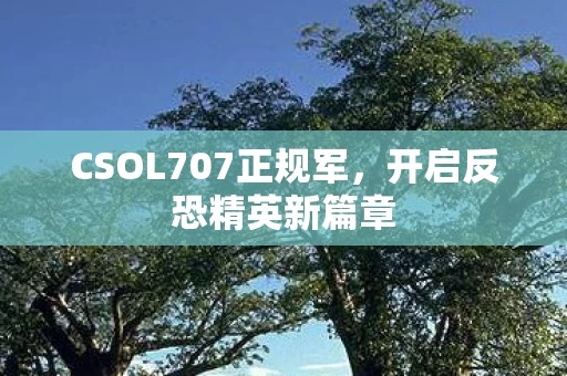 CSOL707正规军图片