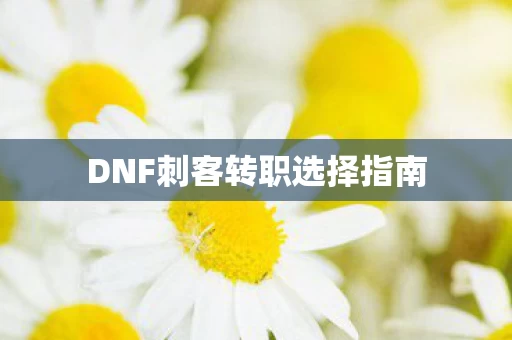 DNF刺客转职选择指南图片