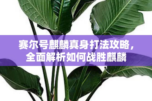 赛尔号麒麟真身打法攻略图片