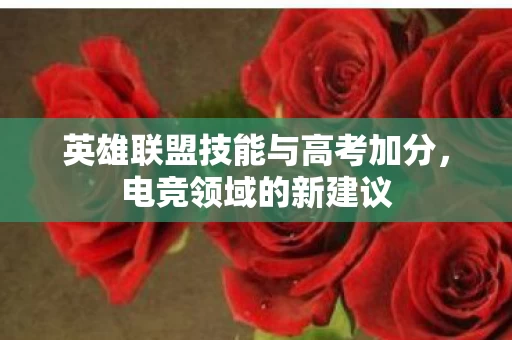 英雄联盟技能与高考加分图片