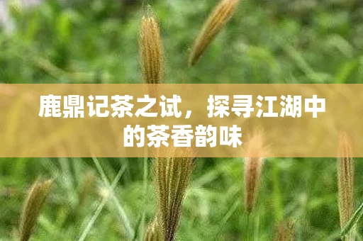 探寻江湖中的茶香韵味图片