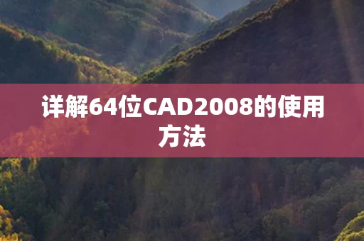 详解64位CAD2008的使用方法图片
