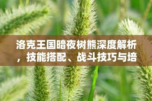 洛克王国暗夜树熊深度解析图片