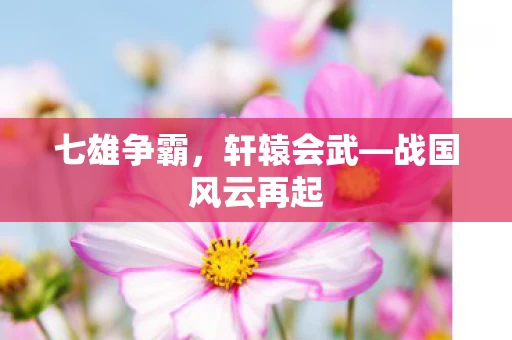 战国风云再起图片