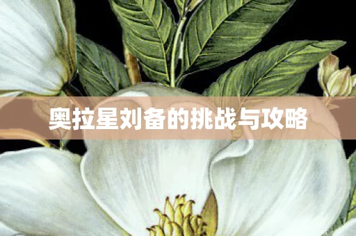奥拉星刘备的挑战与攻略图片