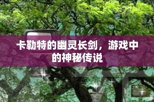 卡勒特的幽灵长剑图片