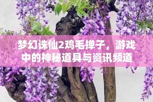 游戏中的神秘道具与资讯频道图片