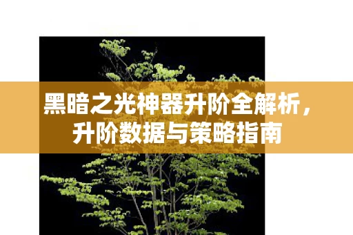 黑暗之光神器升阶全解析图片