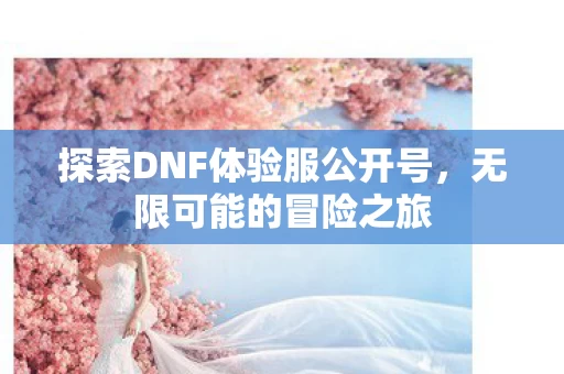 探索DNF体验服公开号图片