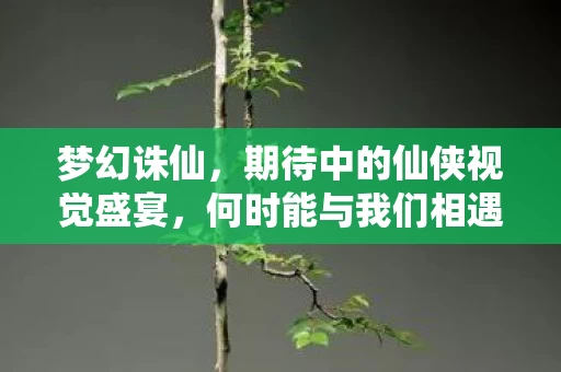 期待中的仙侠视觉盛宴图片
