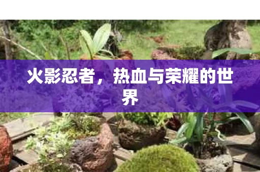 热血与荣耀的世界图片