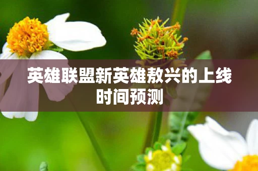英雄联盟新英雄敖兴的上线时间预测图片