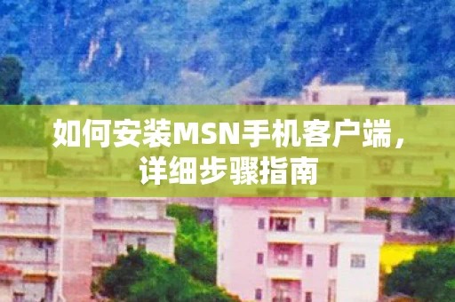 如何安装MSN手机客户端图片