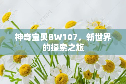 神奇宝贝BW107图片