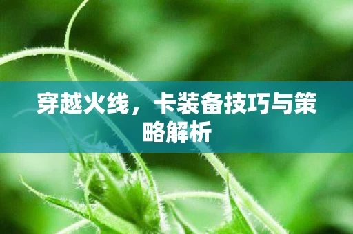 卡装备技巧与策略解析图片