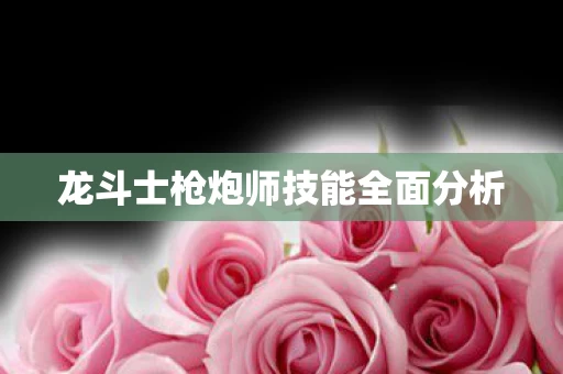 龙斗士枪炮师技能全面分析图片