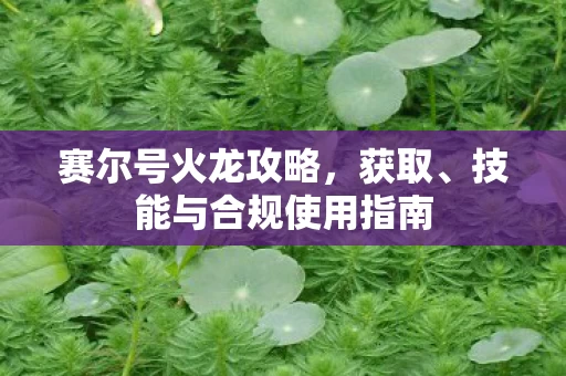 技能与合规使用指南图片