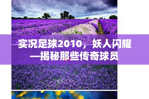 实况足球2010图片