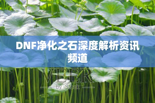 DNF净化之石深度解析资讯频道图片