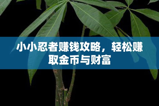 轻松赚取金币与财富图片