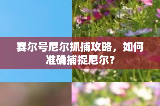 赛尔号尼尔抓捕攻略图片