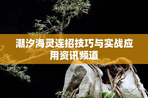潮汐海灵连招技巧与实战应用资讯频道图片