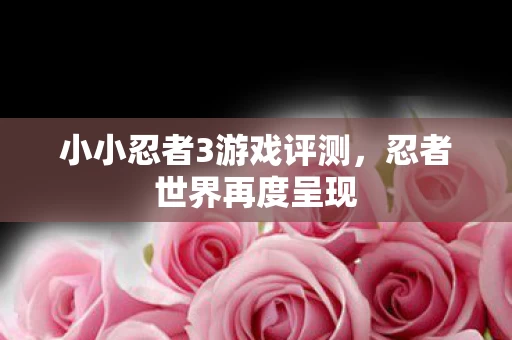 小小忍者3游戏评测图片