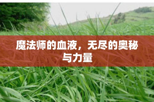 无尽的奥秘与力量图片