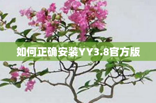 如何正确安装YY3图片