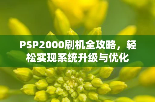 PSP2000刷机全攻略图片