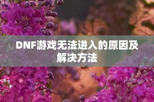 DNF游戏无法进入的原因及解决方法图片
