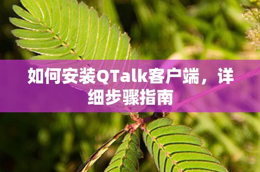 如何安装QTalk客户端图片