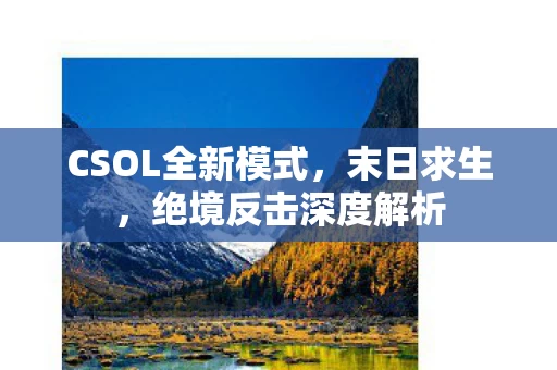 CSOL全新模式图片