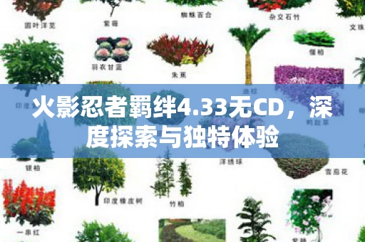 深度探索与独特体验图片