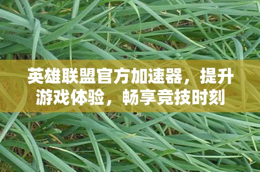 英雄联盟官方加速器图片