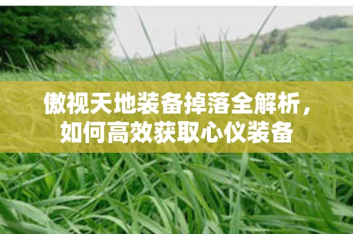 傲视天地装备掉落全解析图片