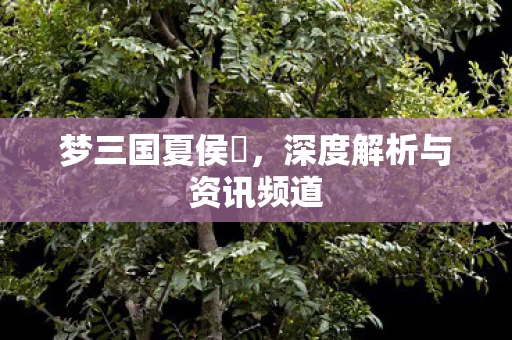 深度解析与资讯频道图片