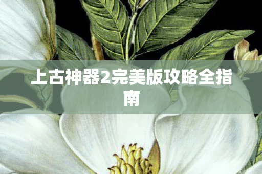 上古神器2完美版攻略全指南图片