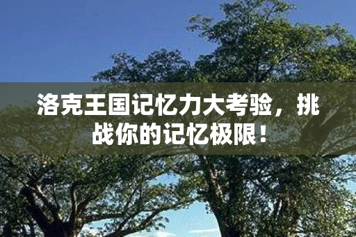 洛克王国记忆力大考验图片