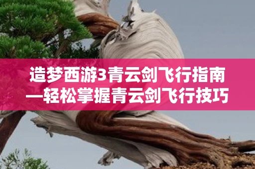 造梦西游3青云剑飞行指南图片