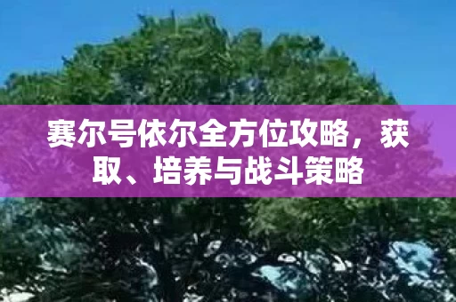 赛尔号依尔全方位攻略图片